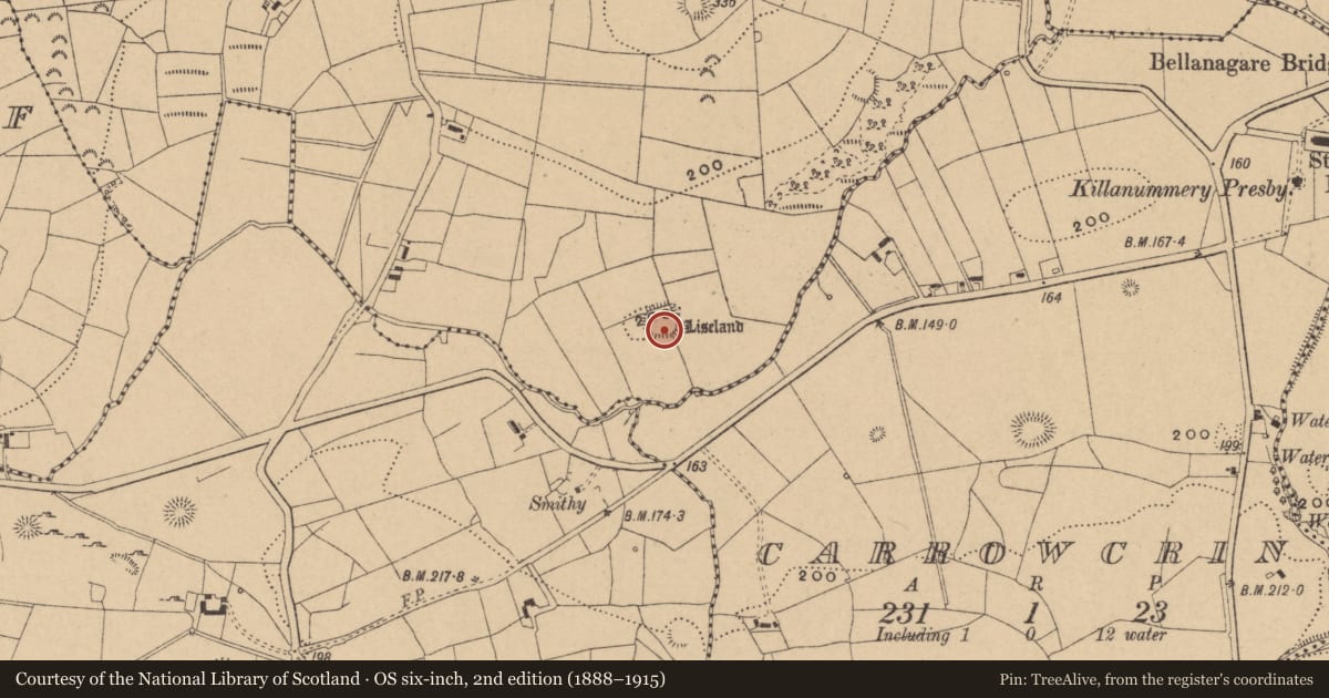 Ordnance Survey six-inch map, 2nd edition (1888–1915) covering the location of Ringfort - rath, Drumrane, County Leitrim, with a pin at the register's coordinates