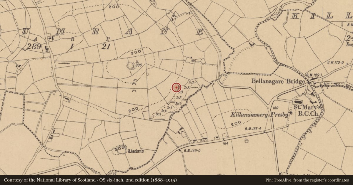 Ordnance Survey six-inch map, 2nd edition (1888–1915) covering the location of Ringfort - rath, Drumrane, County Leitrim, with a pin at the register's coordinates