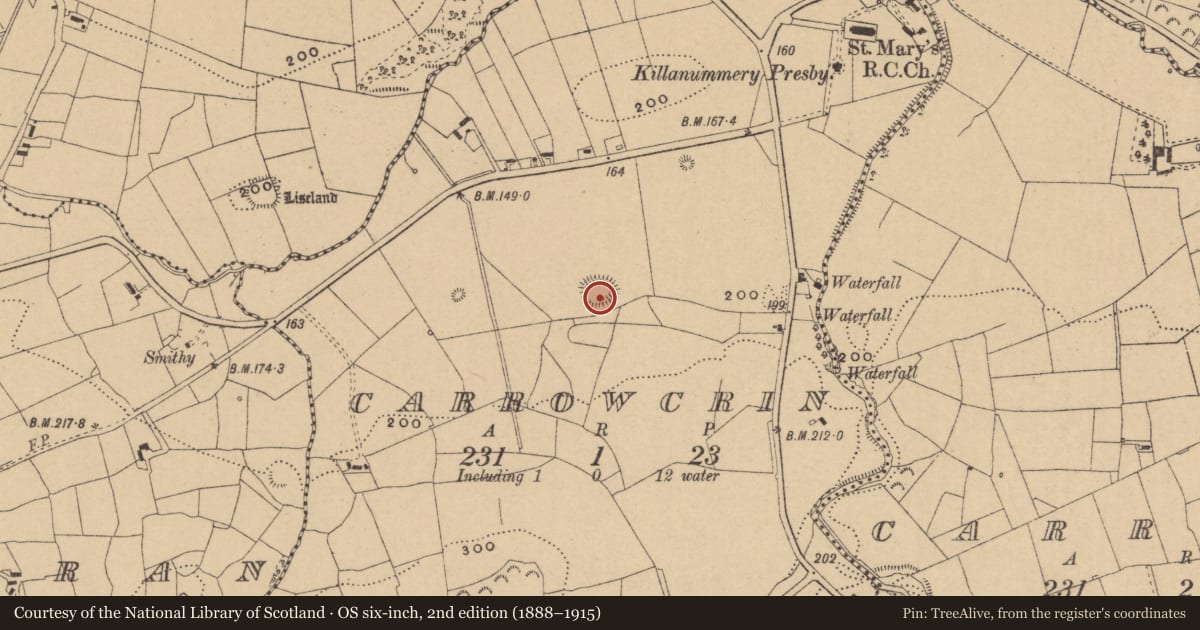 Ordnance Survey six-inch map, 2nd edition (1888–1915) covering the location of Ringfort - rath, Carrowcrin, County Leitrim, with a pin at the register's coordinates