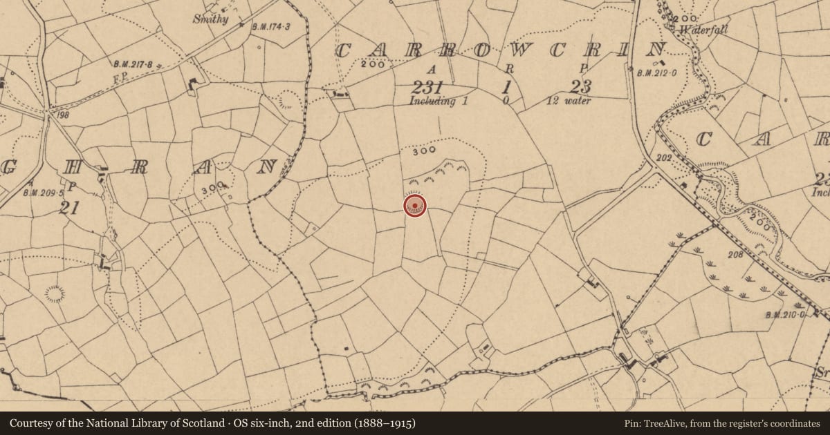 Ordnance Survey six-inch map, 2nd edition (1888–1915) covering the location of Ringfort - rath, Carrowcrin, County Leitrim, with a pin at the register's coordinates