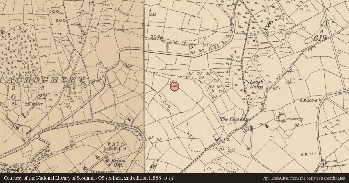 Ordnance Survey six-inch map, 2nd edition (1888–1915) covering the location of Ringfort - rath, Mullagh, County Leitrim, with a pin at the register's coordinates