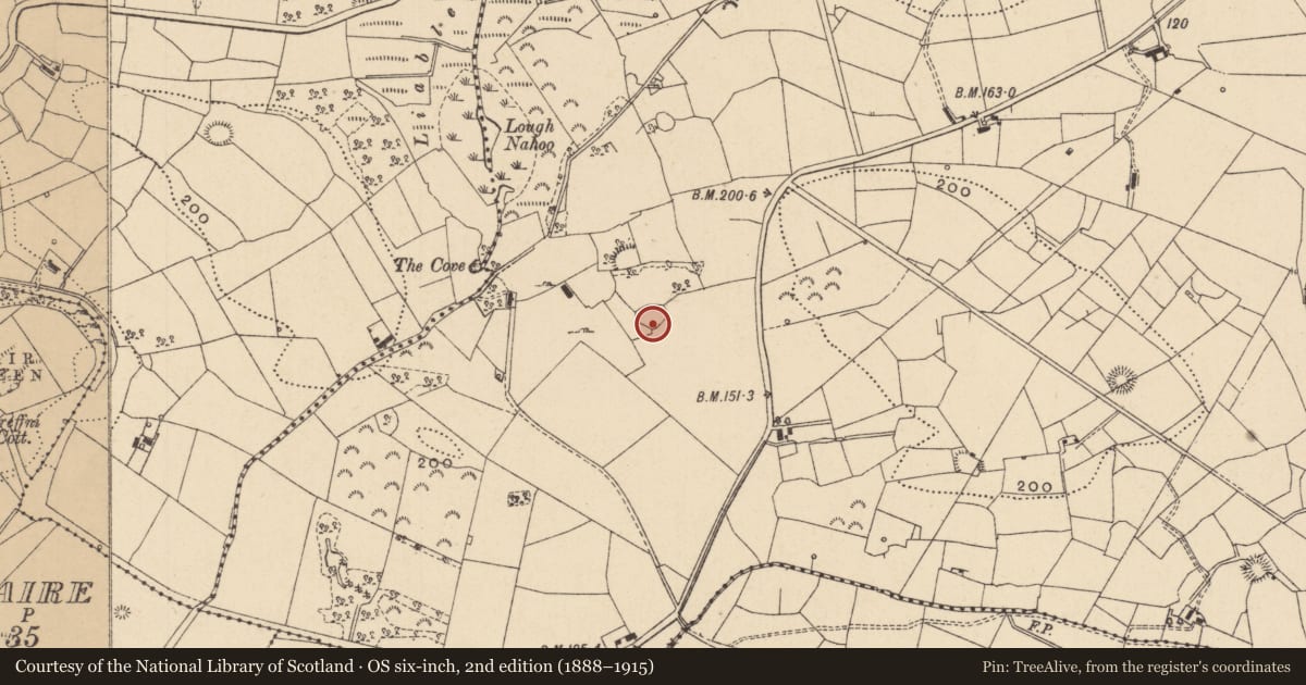 Ordnance Survey six-inch map, 2nd edition (1888–1915) covering the location of Ringfort - cashel, Fawn, County Leitrim, with a pin at the register's coordinates