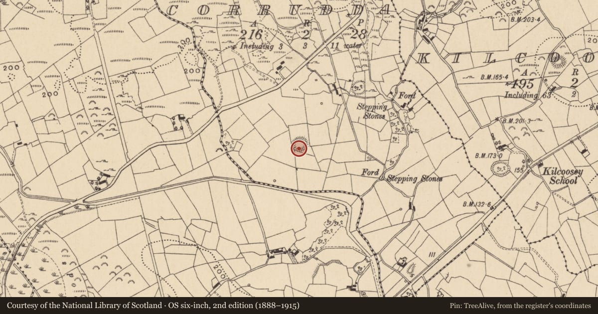 Ordnance Survey six-inch map, 2nd edition (1888–1915) covering the location of Ringfort - rath, Corrudda, County Leitrim, with a pin at the register's coordinates