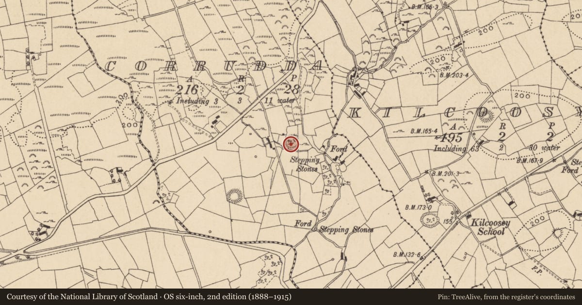 Ordnance Survey six-inch map, 2nd edition (1888–1915) covering the location of Ringfort - cashel, Corrudda, County Leitrim, with a pin at the register's coordinates