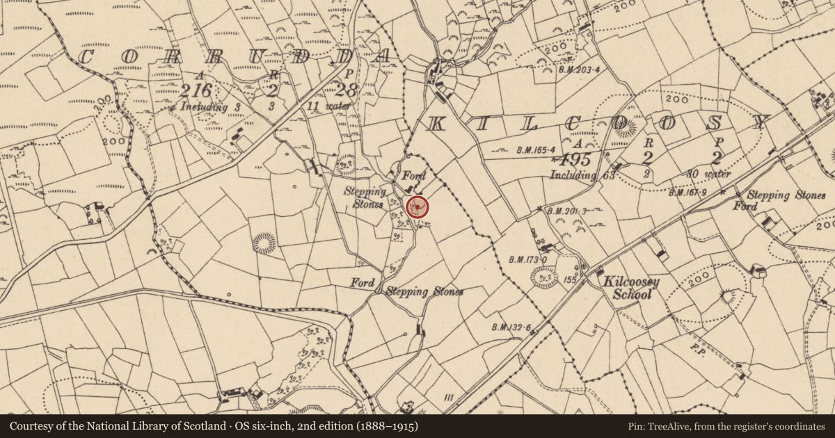 Ordnance Survey six-inch map, 2nd edition (1888–1915) covering the location of Ringfort - cashel, Corrudda, County Leitrim, with a pin at the register's coordinates
