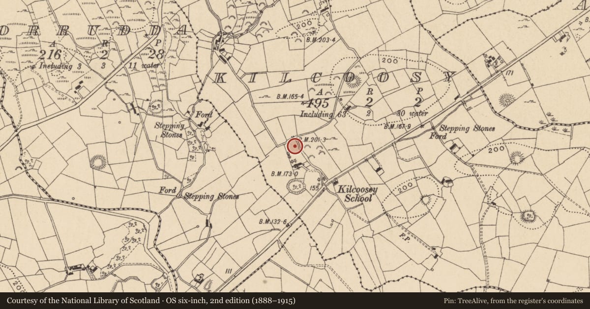 Ordnance Survey six-inch map, 2nd edition (1888–1915) covering the location of Ringfort - rath, Kilcoosy, County Leitrim, with a pin at the register's coordinates