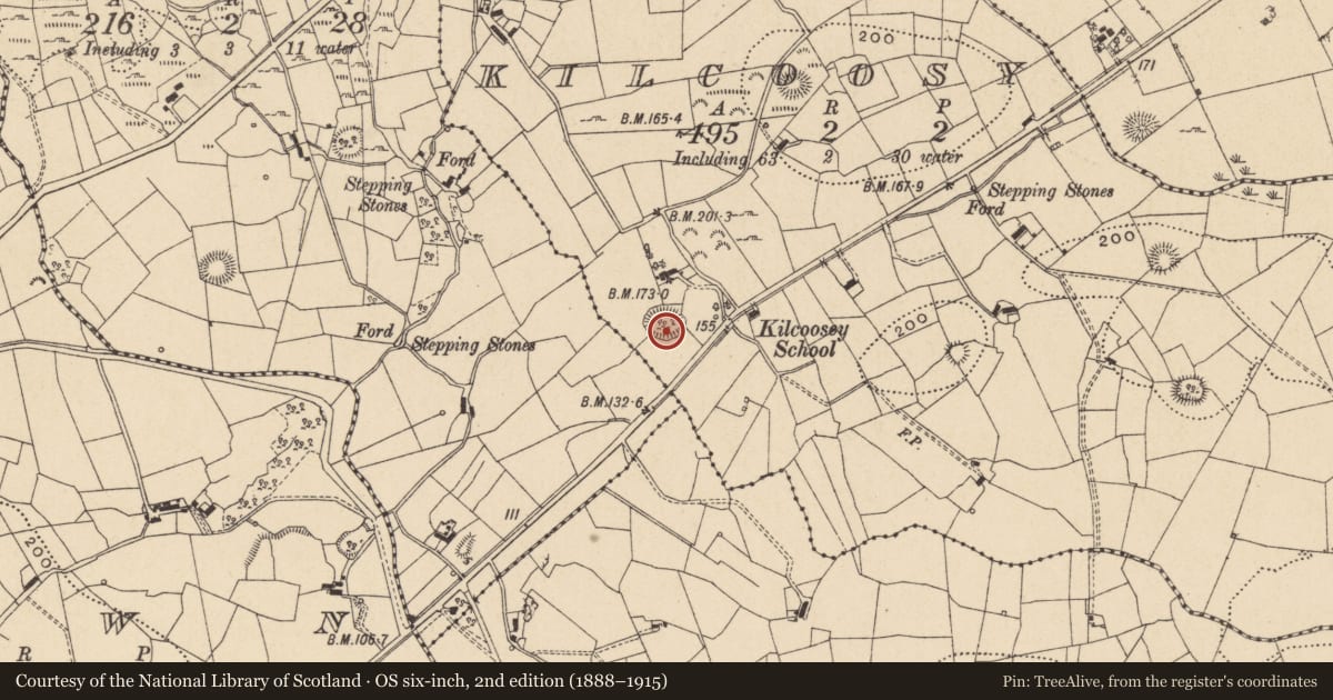 Ordnance Survey six-inch map, 2nd edition (1888–1915) covering the location of Ringfort - rath, Kilcoosy, County Leitrim, with a pin at the register's coordinates