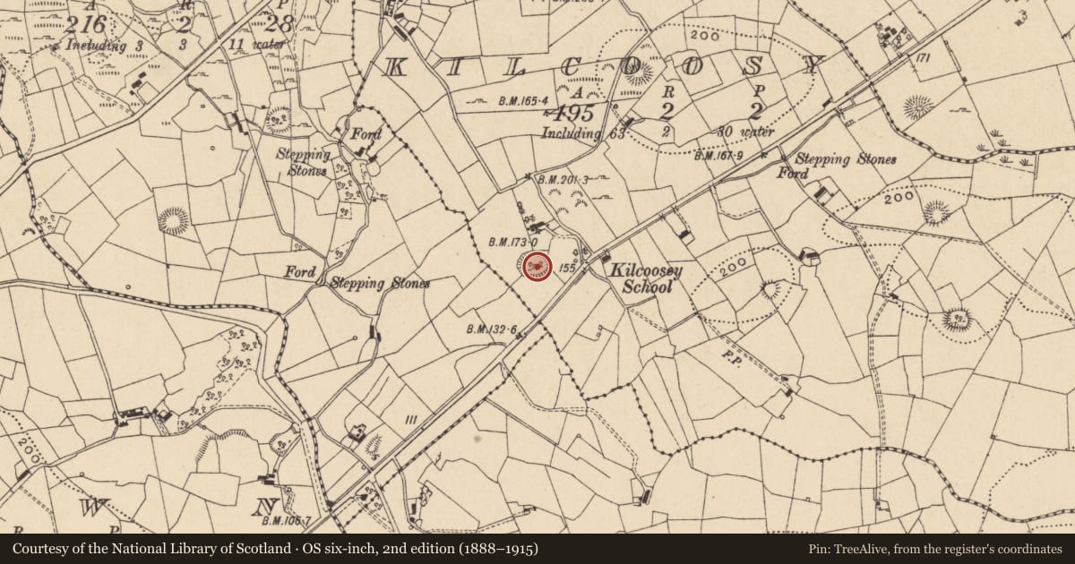 Ordnance Survey six-inch map, 2nd edition (1888–1915) covering the location of Souterrain, Kilcoosy, County Leitrim, with a pin at the register's coordinates