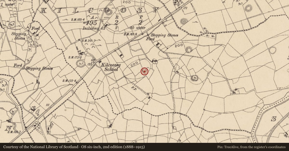 Ordnance Survey six-inch map, 2nd edition (1888–1915) covering the location of Ringfort - cashel, Kilcoosy, County Leitrim, with a pin at the register's coordinates