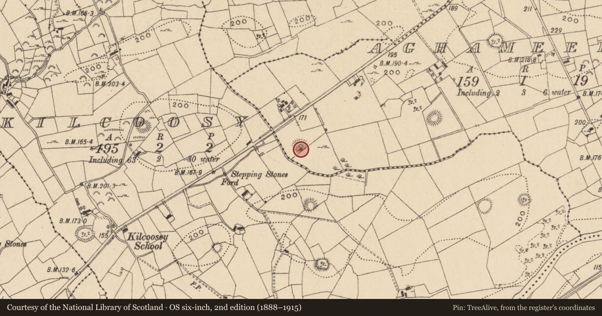 Ordnance Survey six-inch map, 2nd edition (1888–1915) covering the location of Hut site, Aghameelta, County Leitrim, with a pin at the register's coordinates