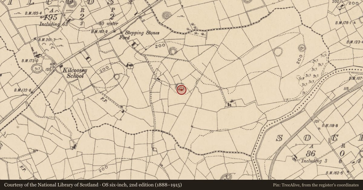 Ordnance Survey six-inch map, 2nd edition (1888–1915) covering the location of Ringfort - cashel, Kilcoosy, County Leitrim, with a pin at the register's coordinates