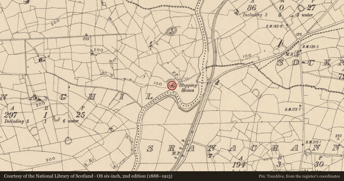 Ordnance Survey six-inch map, 2nd edition (1888–1915) covering the location of Ringfort - rath, Conaghil, County Leitrim, with a pin at the register's coordinates