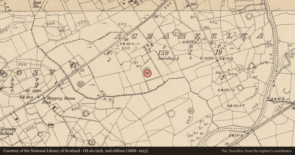 Ordnance Survey six-inch map, 2nd edition (1888–1915) covering the location of Ringfort - cashel, Aghameelta, County Leitrim, with a pin at the register's coordinates