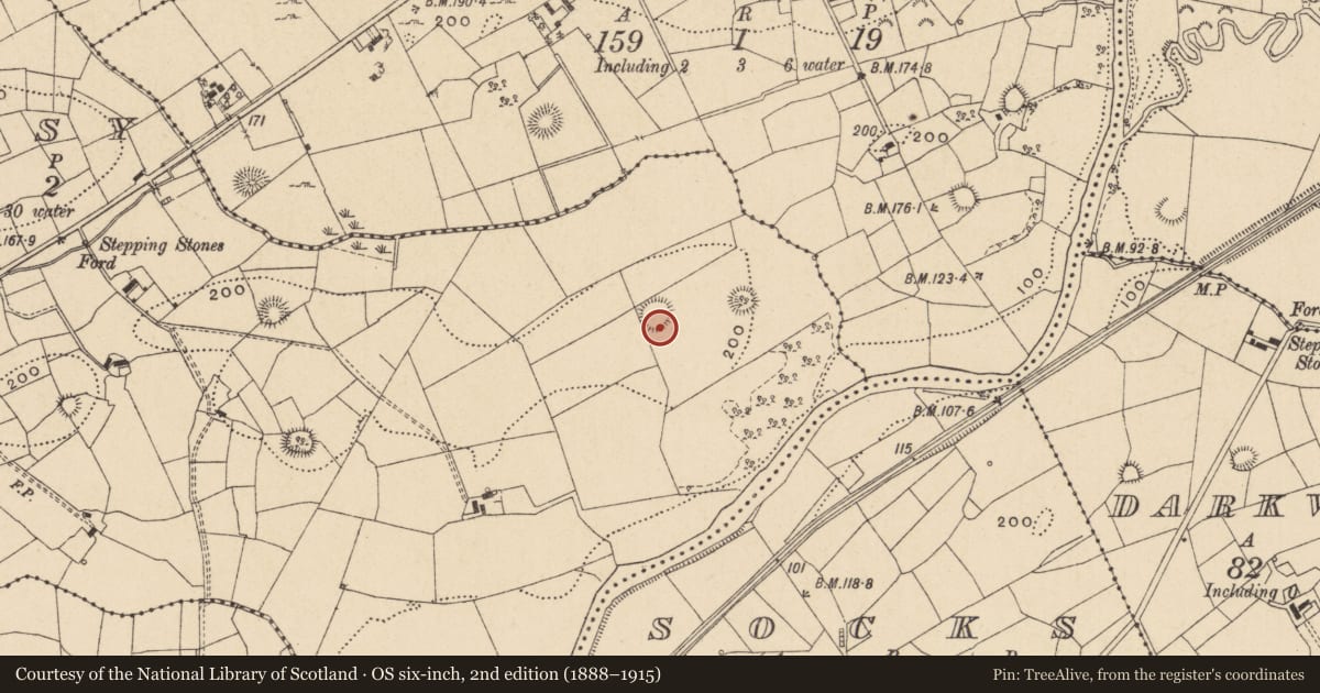 Ordnance Survey six-inch map, 2nd edition (1888–1915) covering the location of Ringfort - rath, Kilcoosy, County Leitrim, with a pin at the register's coordinates