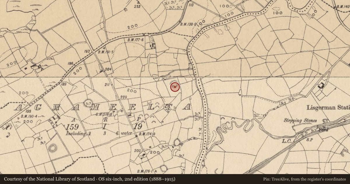 Ordnance Survey six-inch map, 2nd edition (1888–1915) covering the location of Ringfort - rath, Aghameelta, County Leitrim, with a pin at the register's coordinates