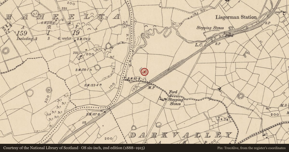 Ordnance Survey six-inch map, 2nd edition (1888–1915) covering the location of Ringfort - rath, Lisgorman, County Leitrim, with a pin at the register's coordinates