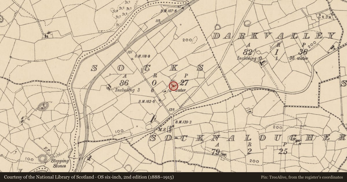Ordnance Survey six-inch map, 2nd edition (1888–1915) covering the location of Ringfort - rath, Socks, County Leitrim, with a pin at the register's coordinates