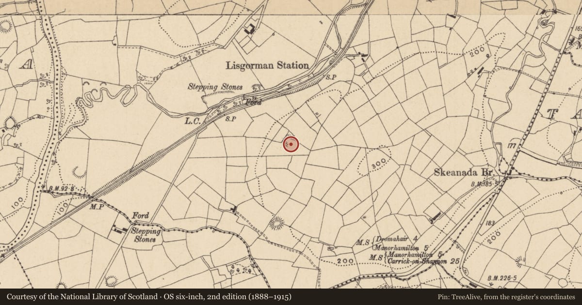 Ordnance Survey six-inch map, 2nd edition (1888–1915) covering the location of Ringfort - rath, Lisgorman, County Leitrim, with a pin at the register's coordinates