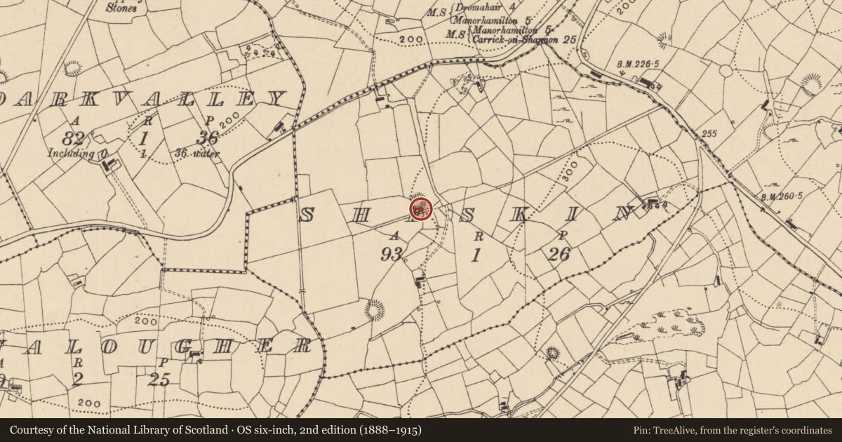 Ordnance Survey six-inch map, 2nd edition (1888–1915) covering the location of Ringfort - cashel, Sheskin, County Leitrim, with a pin at the register's coordinates