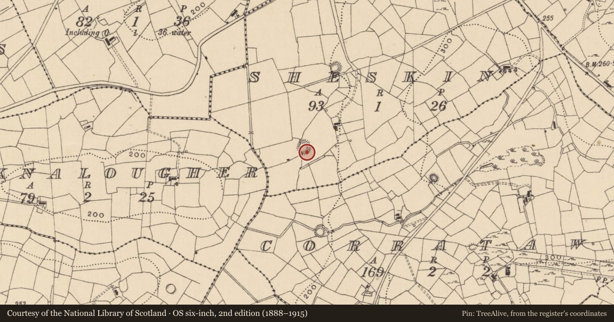 Ordnance Survey six-inch map, 2nd edition (1888–1915) covering the location of Ringfort - cashel, Sheskin, County Leitrim, with a pin at the register's coordinates