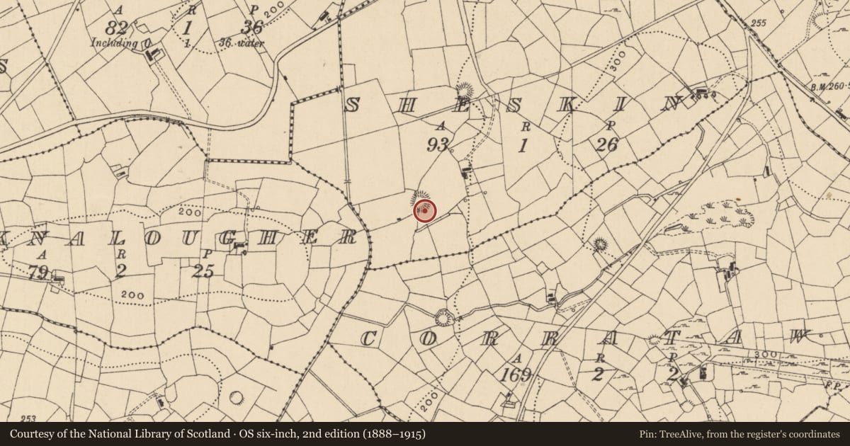 Ordnance Survey six-inch map, 2nd edition (1888–1915) covering the location of Souterrain, Sheskin, County Leitrim, with a pin at the register's coordinates