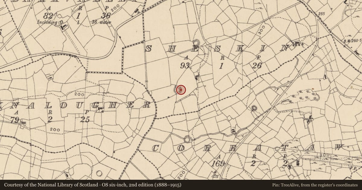 Ordnance Survey six-inch map, 2nd edition (1888–1915) covering the location of House - indeterminate date, Sheskin, County Leitrim, with a pin at the register's coordinates
