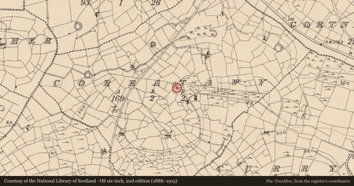 Ordnance Survey six-inch map, 2nd edition (1888–1915) covering the location of Ringfort - rath, Corratawy, County Leitrim, with a pin at the register's coordinates