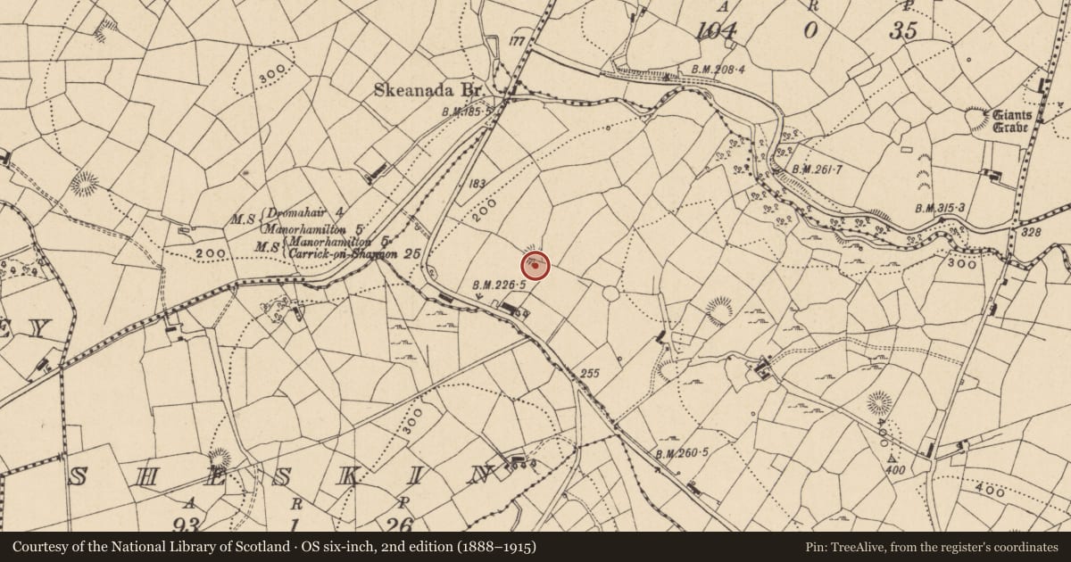 Ordnance Survey six-inch map, 2nd edition (1888–1915) covering the location of Ringfort - rath, Gortnacorkoge, County Leitrim, with a pin at the register's coordinates
