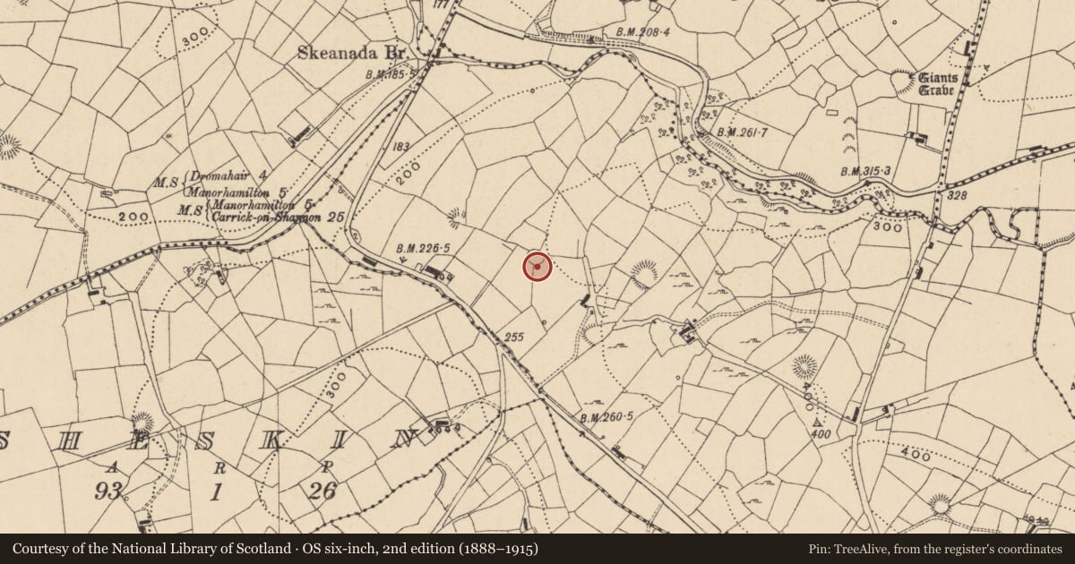 Ordnance Survey six-inch map, 2nd edition (1888–1915) covering the location of Ringfort - cashel, Gortnacorkoge, County Leitrim, with a pin at the register's coordinates