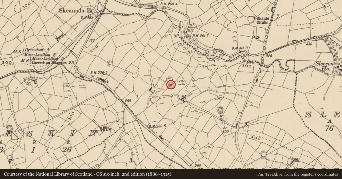 Ordnance Survey six-inch map, 2nd edition (1888–1915) covering the location of Ringfort - rath, Gortnacorkoge, County Leitrim, with a pin at the register's coordinates