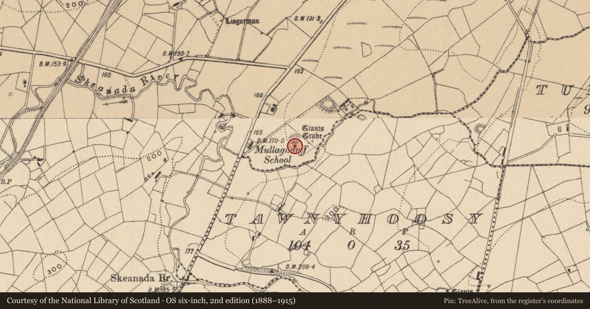 Ordnance Survey six-inch map, 2nd edition (1888–1915) covering the location of Ringfort - rath, Lisgorman, County Leitrim, with a pin at the register's coordinates