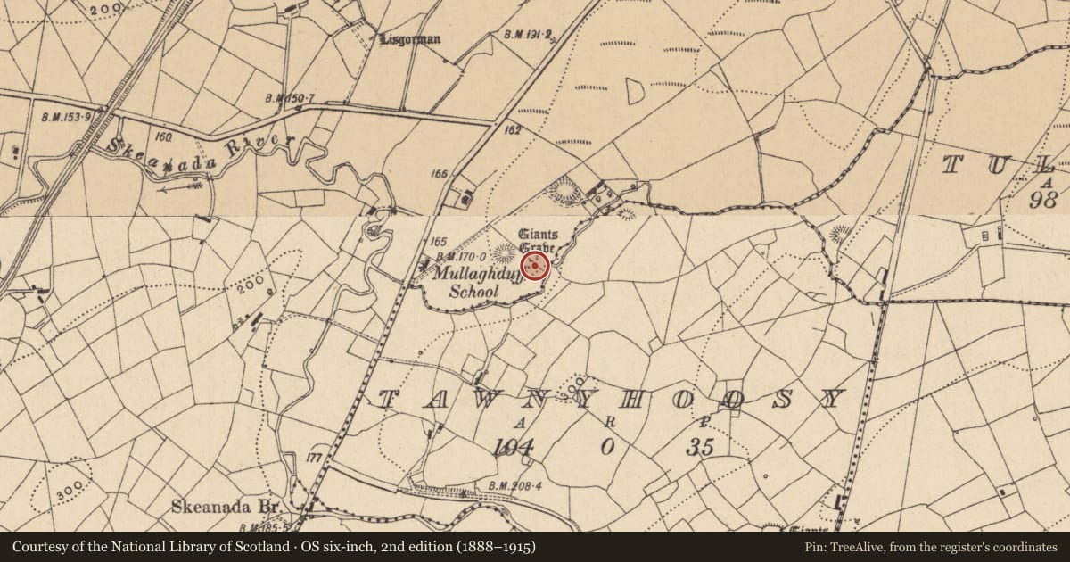 Ordnance Survey six-inch map, 2nd edition (1888–1915) covering the location of Megalithic structure, Lisgorman, County Leitrim, with a pin at the register's coordinates
