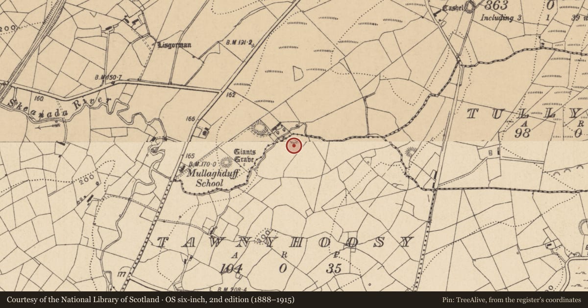 Ordnance Survey six-inch map, 2nd edition (1888–1915) covering the location of Ringfort - rath, Tawnyhoosy, County Leitrim, with a pin at the register's coordinates