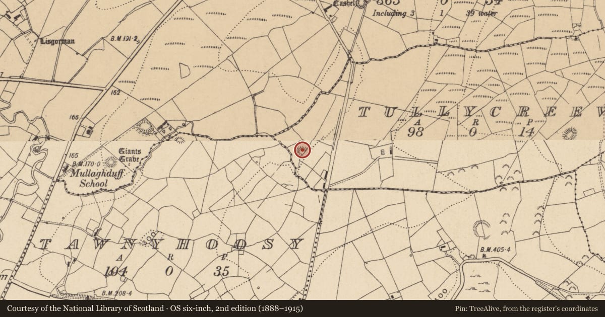 Ordnance Survey six-inch map, 2nd edition (1888–1915) covering the location of Ringfort - rath, Tullycreevy, County Leitrim, with a pin at the register's coordinates