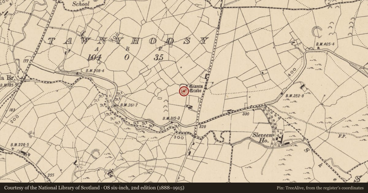 Ordnance Survey six-inch map, 2nd edition (1888–1915) covering the location of Ringfort - rath, Tawnyhoosy, County Leitrim, with a pin at the register's coordinates