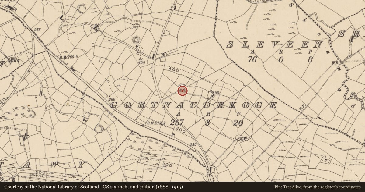 Ordnance Survey six-inch map, 2nd edition (1888–1915) covering the location of Ringfort - rath, Gortnacorkoge, County Leitrim, with a pin at the register's coordinates