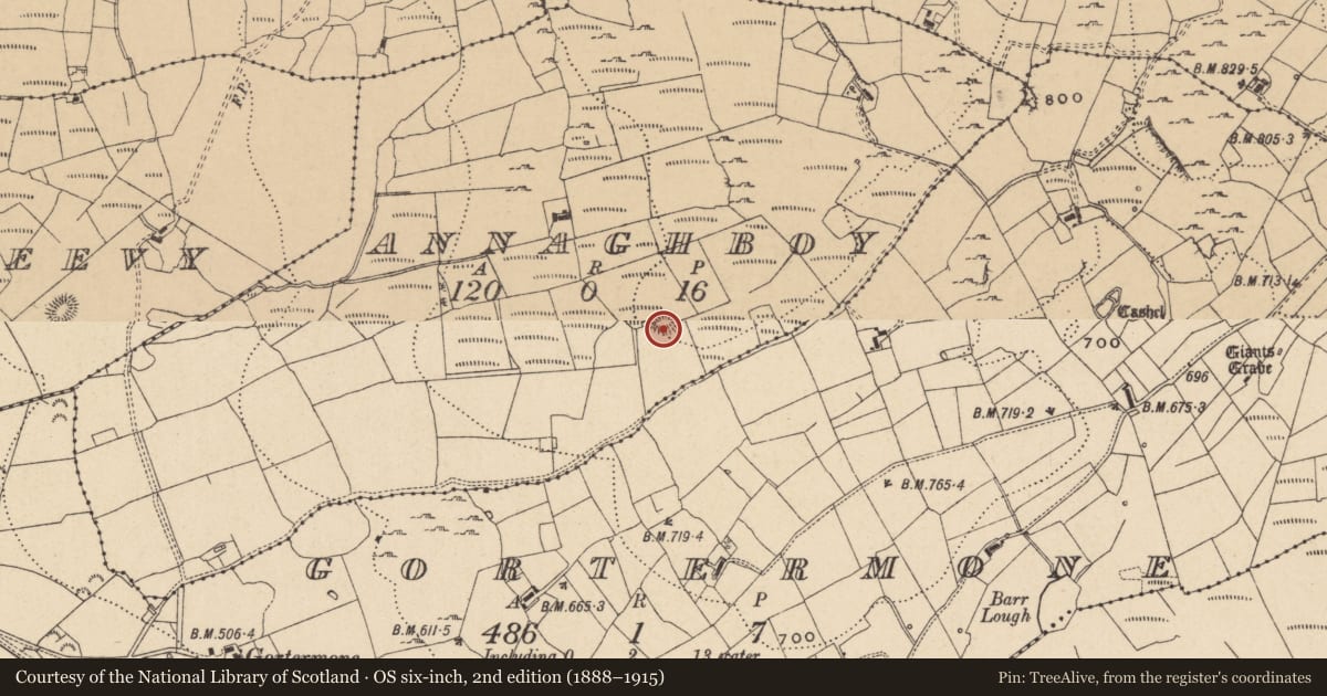 Ordnance Survey six-inch map, 2nd edition (1888–1915) covering the location of Ringfort - rath, Annaghboy, County Leitrim, with a pin at the register's coordinates