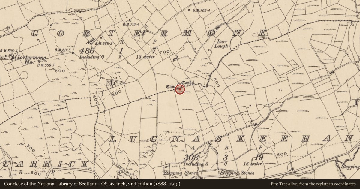 Ordnance Survey six-inch map, 2nd edition (1888–1915) covering the location of Ringfort - cashel, Gortermone, Lugnaskeehan, County Leitrim, with a pin at the register's coordinates