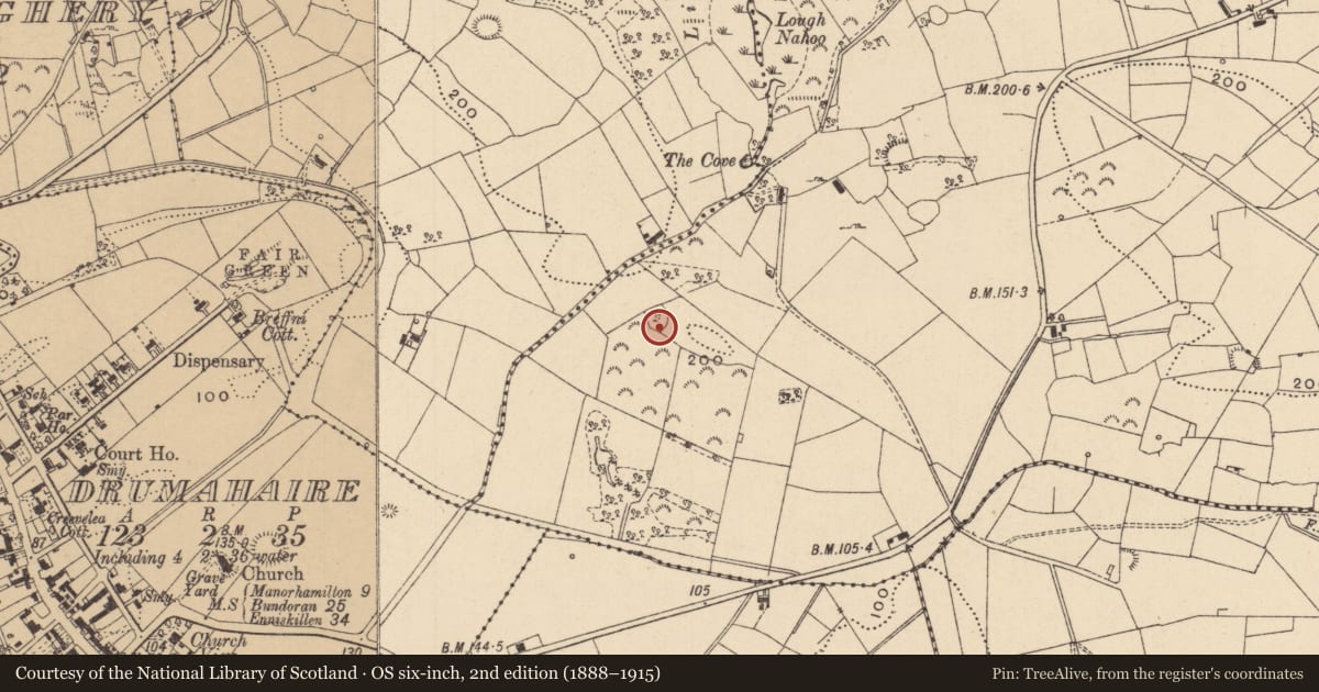 Ordnance Survey six-inch map, 2nd edition (1888–1915) covering the location of Ringfort - rath, Fawn, County Leitrim, with a pin at the register's coordinates