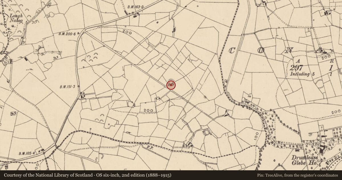 Ordnance Survey six-inch map, 2nd edition (1888–1915) covering the location of Ringfort - rath, Fawn, County Leitrim, with a pin at the register's coordinates