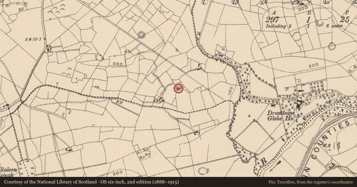 Ordnance Survey six-inch map, 2nd edition (1888–1915) covering the location of Ringfort - rath, Fawn, County Leitrim, with a pin at the register's coordinates