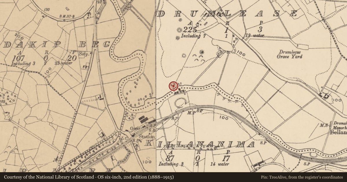 Ordnance Survey six-inch map, 2nd edition (1888–1915) covering the location of Enclosure, Drumlease, County Leitrim, with a pin at the register's coordinates