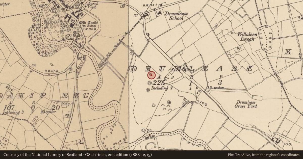 Ordnance Survey six-inch map, 2nd edition (1888–1915) covering the location of Enclosure, Drumlease, County Leitrim, with a pin at the register's coordinates