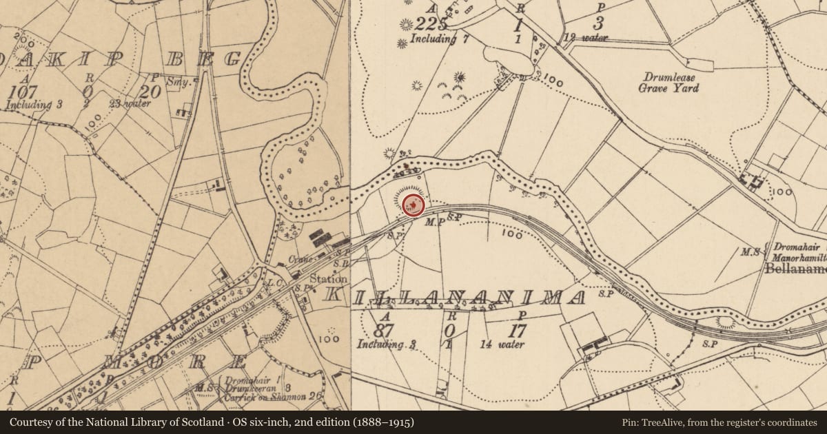 Ordnance Survey six-inch map, 2nd edition (1888–1915) covering the location of Ringfort - rath, Killananima, County Leitrim, with a pin at the register's coordinates