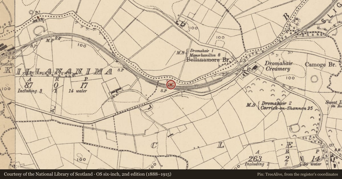 Ordnance Survey six-inch map, 2nd edition (1888–1915) covering the location of Ringfort - rath, Cleen, County Leitrim, with a pin at the register's coordinates