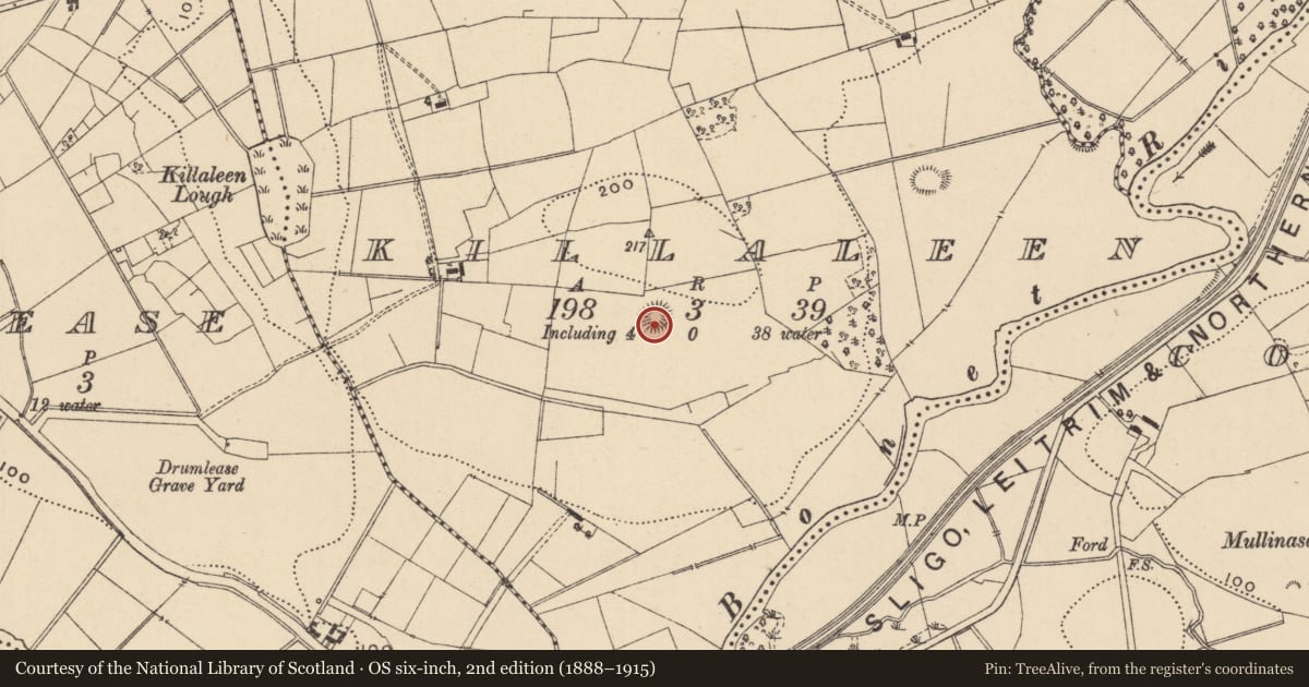 Ordnance Survey six-inch map, 2nd edition (1888–1915) covering the location of Ringfort - rath, Killaleen, County Leitrim, with a pin at the register's coordinates