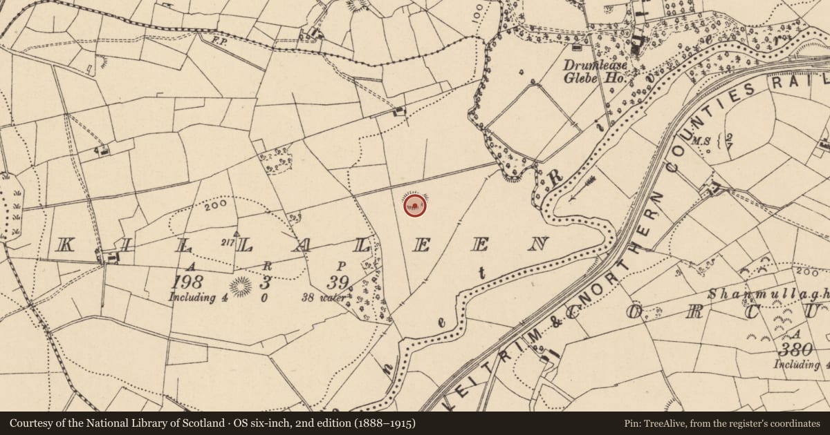 Ordnance Survey six-inch map, 2nd edition (1888–1915) covering the location of Ringfort - rath, Killaleen, County Leitrim, with a pin at the register's coordinates