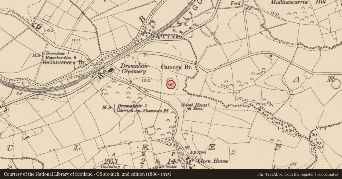 Ordnance Survey six-inch map, 2nd edition (1888–1915) covering the location of Ringfort - unclassified, Cleen, County Leitrim, with a pin at the register's coordinates