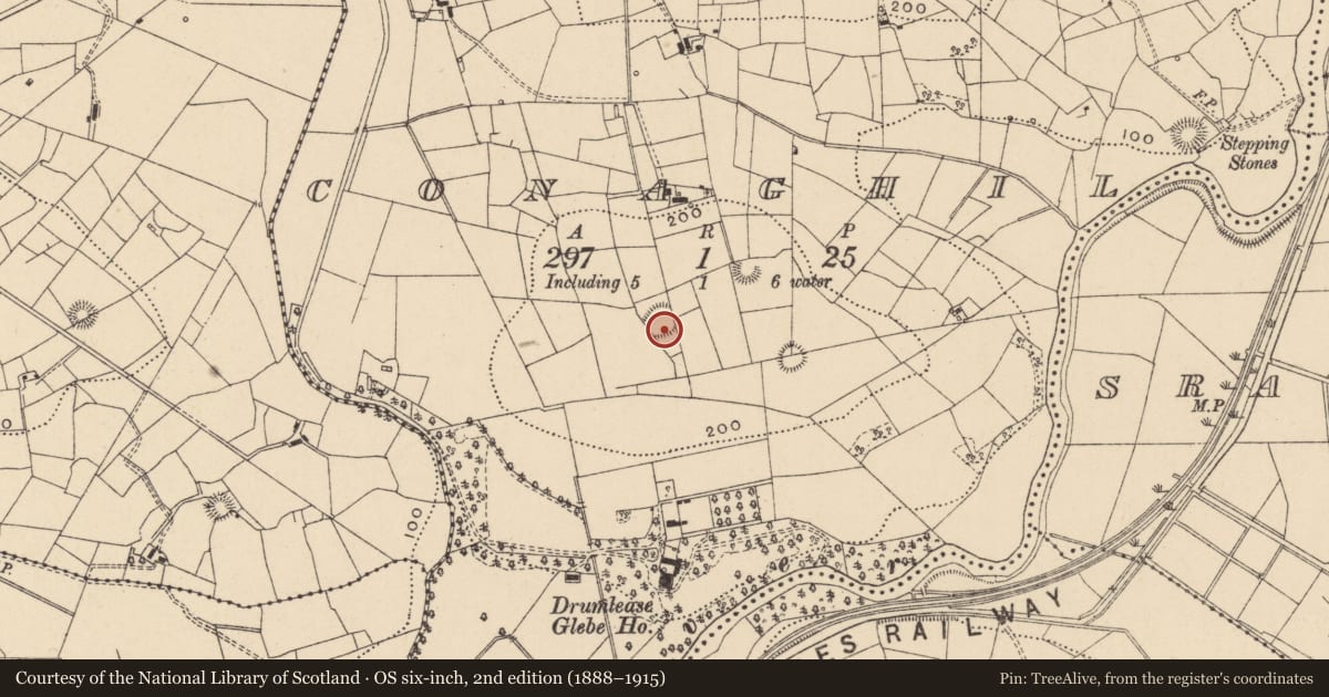 Ordnance Survey six-inch map, 2nd edition (1888–1915) covering the location of Ringfort - rath, Conaghil, County Leitrim, with a pin at the register's coordinates