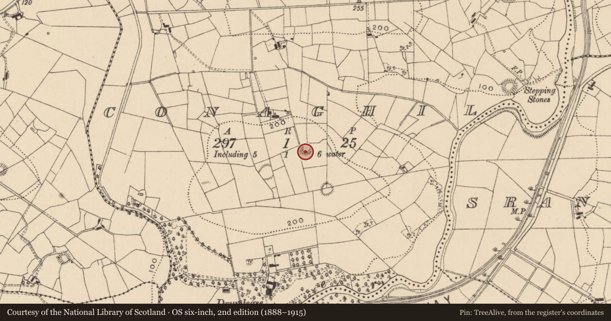 Ordnance Survey six-inch map, 2nd edition (1888–1915) covering the location of Ringfort - rath, Conaghil, County Leitrim, with a pin at the register's coordinates
